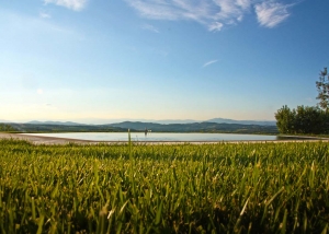 Vicolabate Tuscan Countryside Video Background