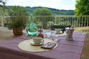 Exterior garden and terrace with panoramic views